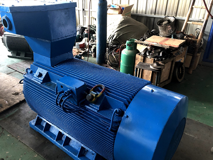 6000V高壓電機保養(yǎng)